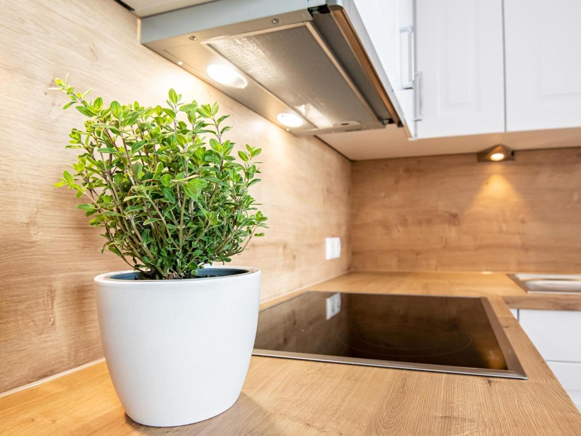 Berolina 804 Penthouse Mit Meerblick Dahme  Eksteriør bilde